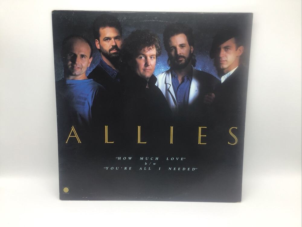 Allies How Much Love Youre All I Needed 12 Single Vinyl  Ultrasonically Cleaned